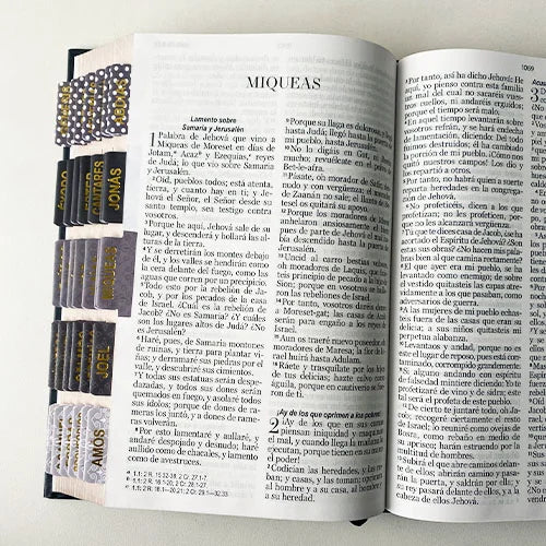 Biblia PERSONALIZADA León Deluxe Reina Valera 1960 Letra GRANDE con Liga